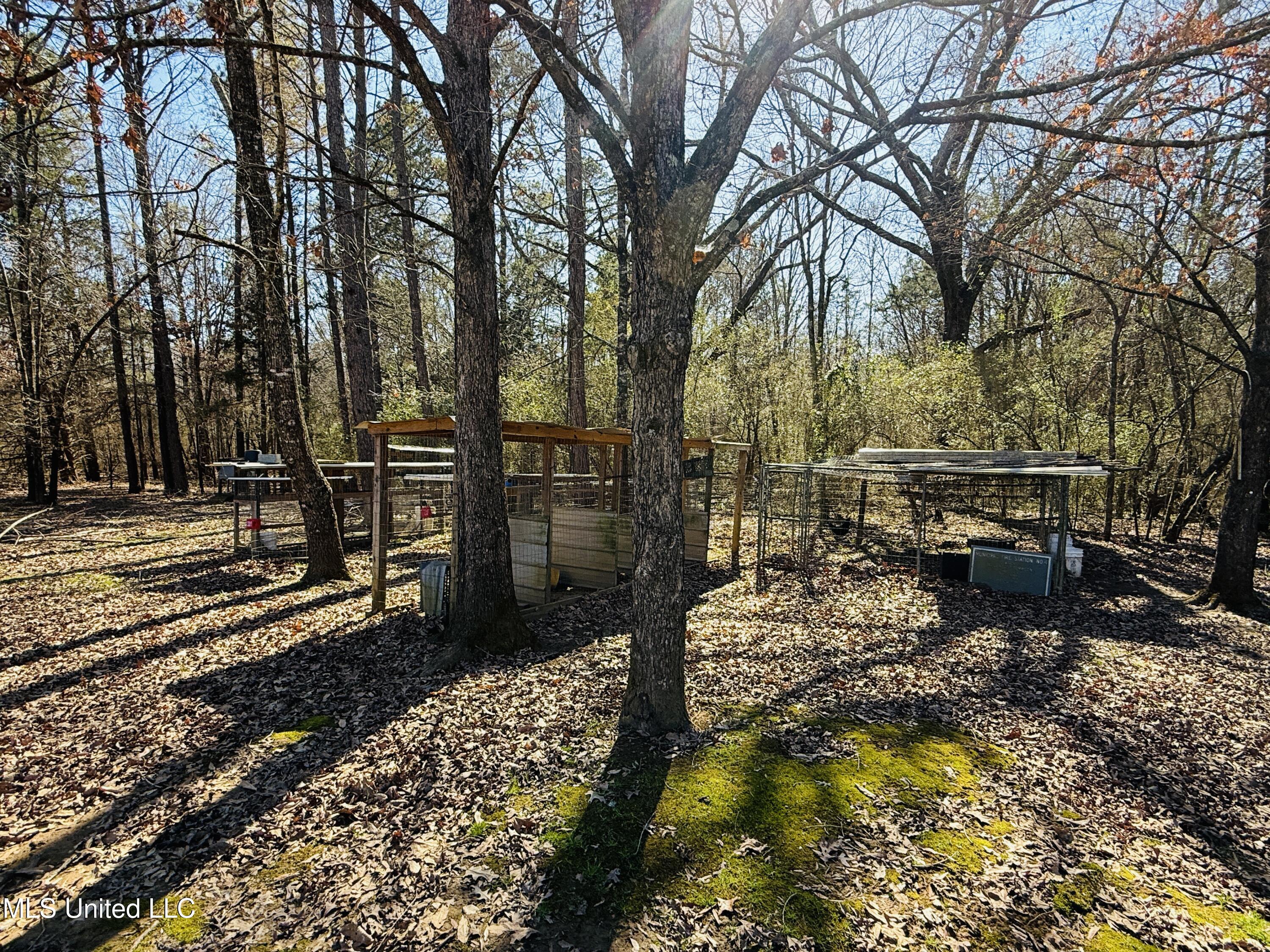 8474 Castalian Springs Road Durant, MS 39063 - Photo 20 of 55 IMG_2464