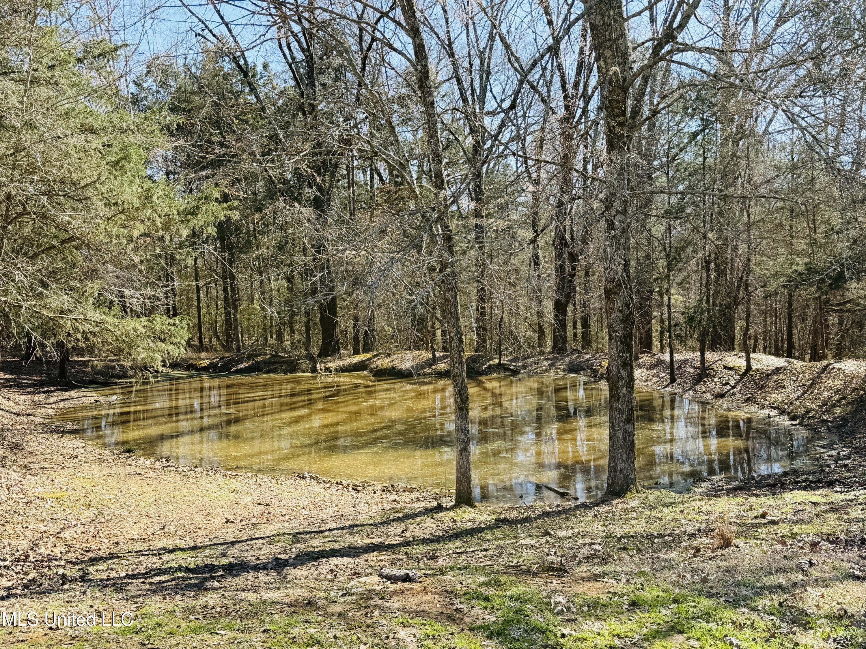 8474 Castalian Springs Road Durant, MS 39063 - Photo 21 of 55 IMG_2467