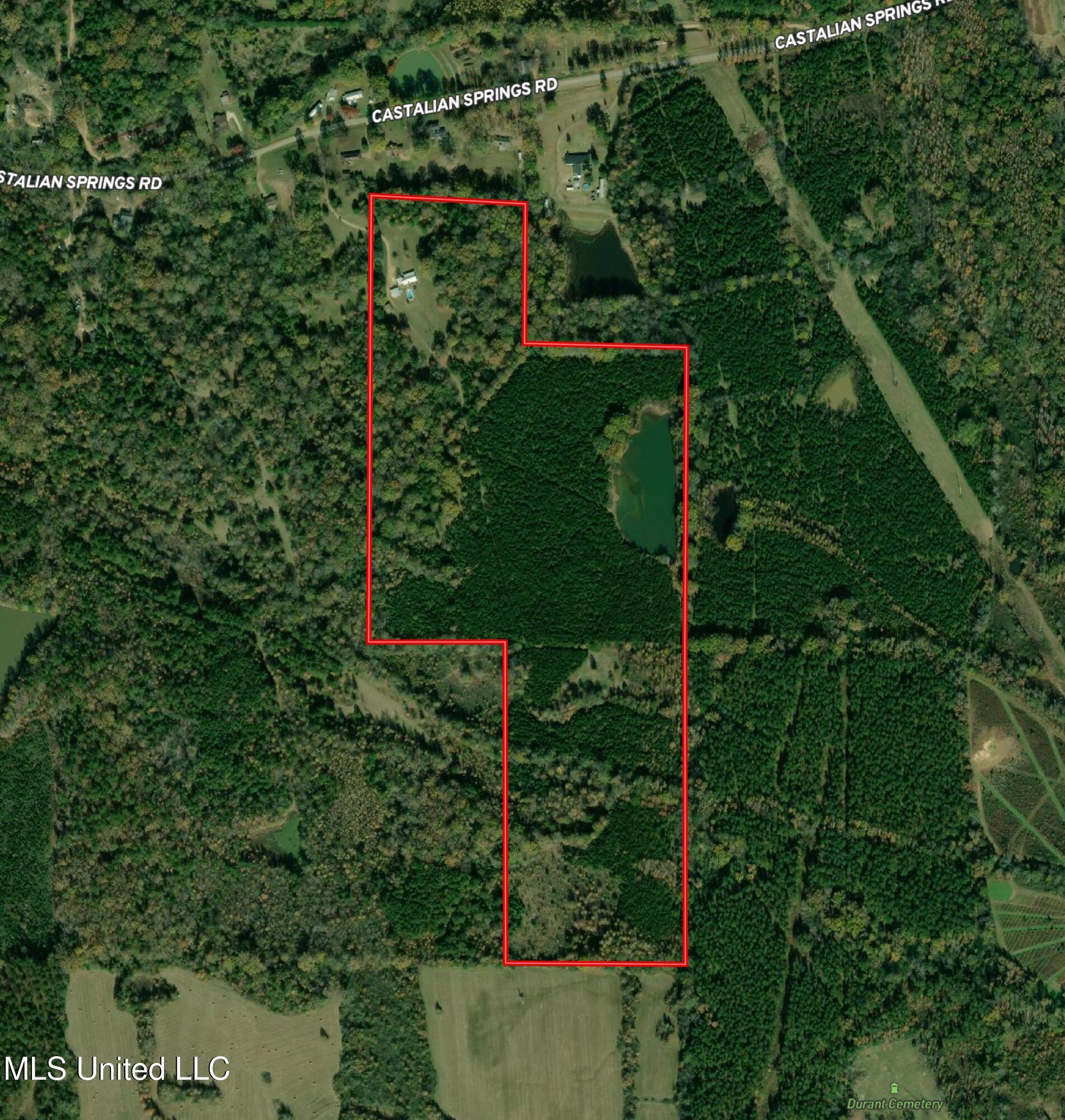 8474 Castalian Springs Road Durant, MS 39063 - Photo 53 of 55 Holmes 69.75 Aerial Map