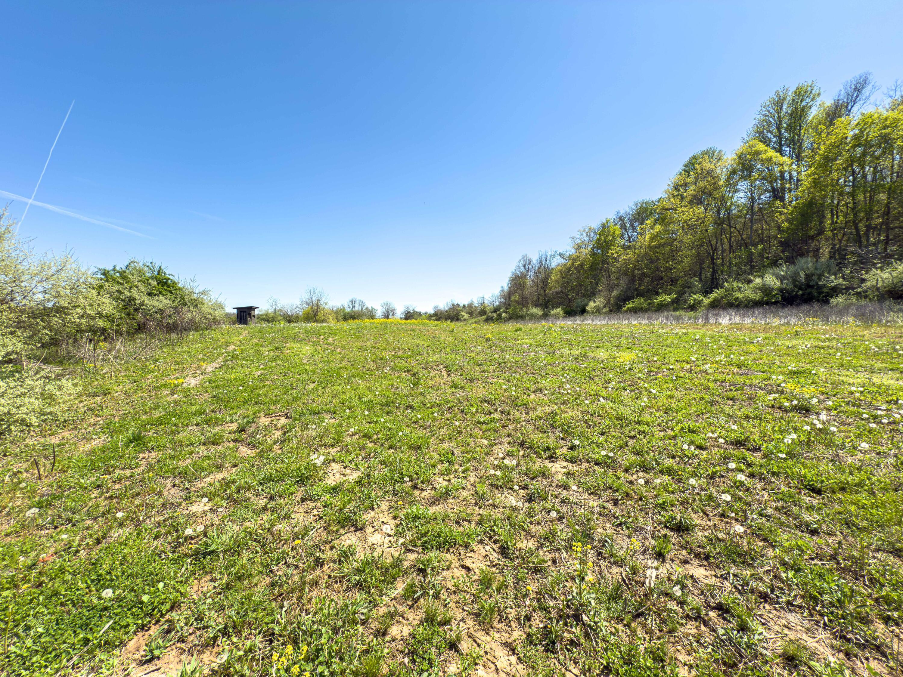 14375 Hooper Ridge Road Millfield, OH 45761 - Photo 60 of 86 Hooper Ridge Rd-59