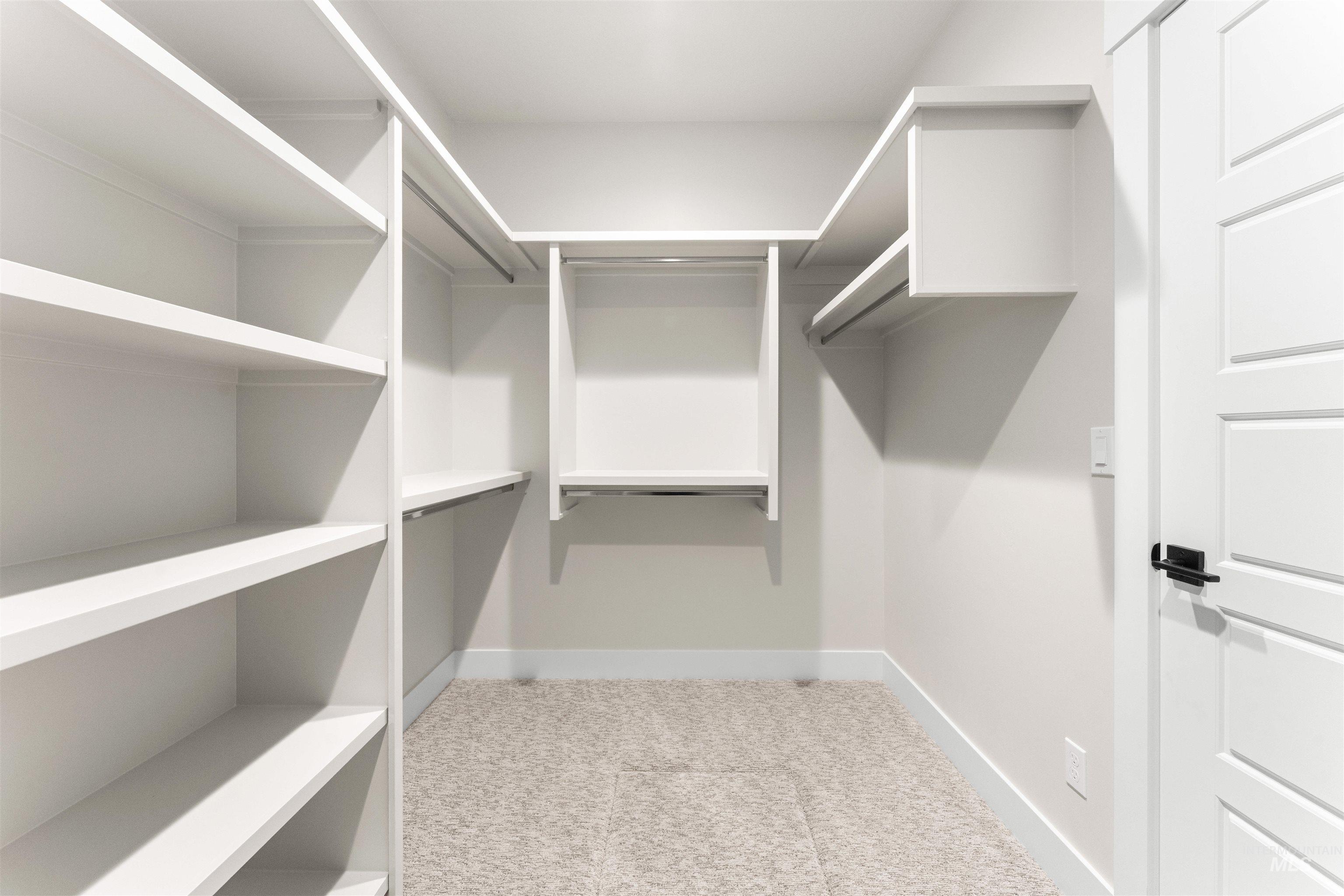 8076 Tandy Cv Street Middleton, ID 83644 - Photo 24 of 41 Walk in closet with light carpet