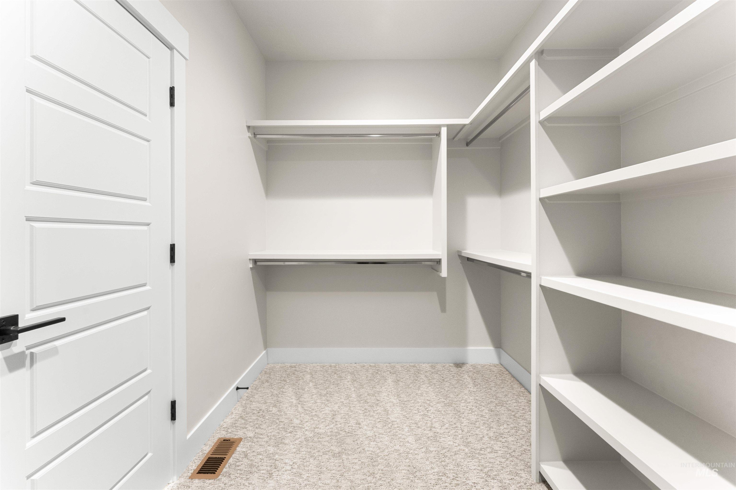 8076 Tandy Cv Street Middleton, ID 83644 - Photo 25 of 41 Walk in closet featuring light carpet