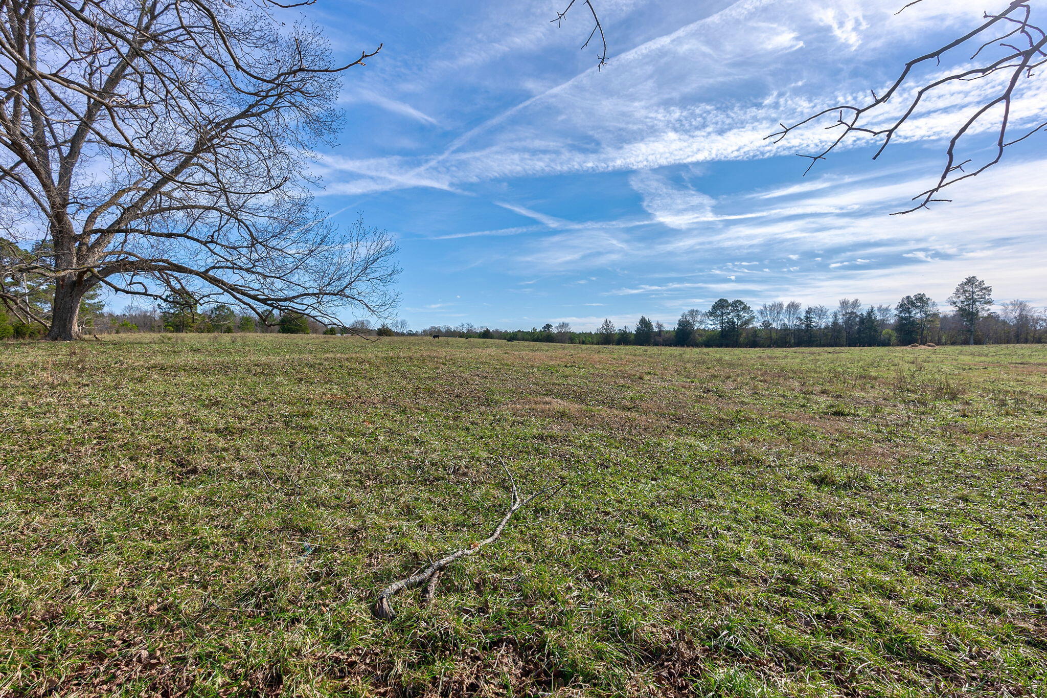 1947 Court Ground Road Rayle, GA 30660 - Photo 11 of 69 11-web-or-mls-10