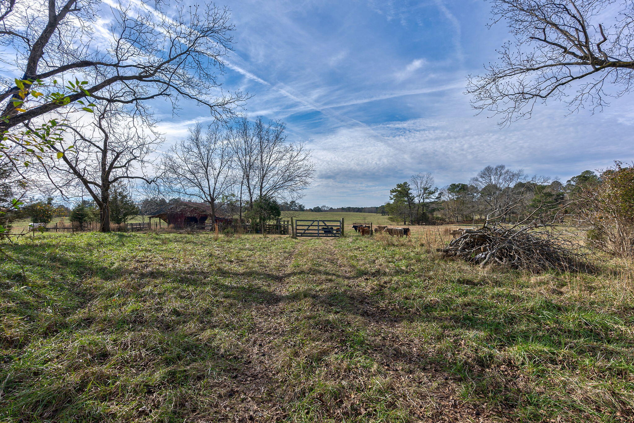 1947 Court Ground Road Rayle, GA 30660 - Photo 13 of 69 13-web-or-mls-12