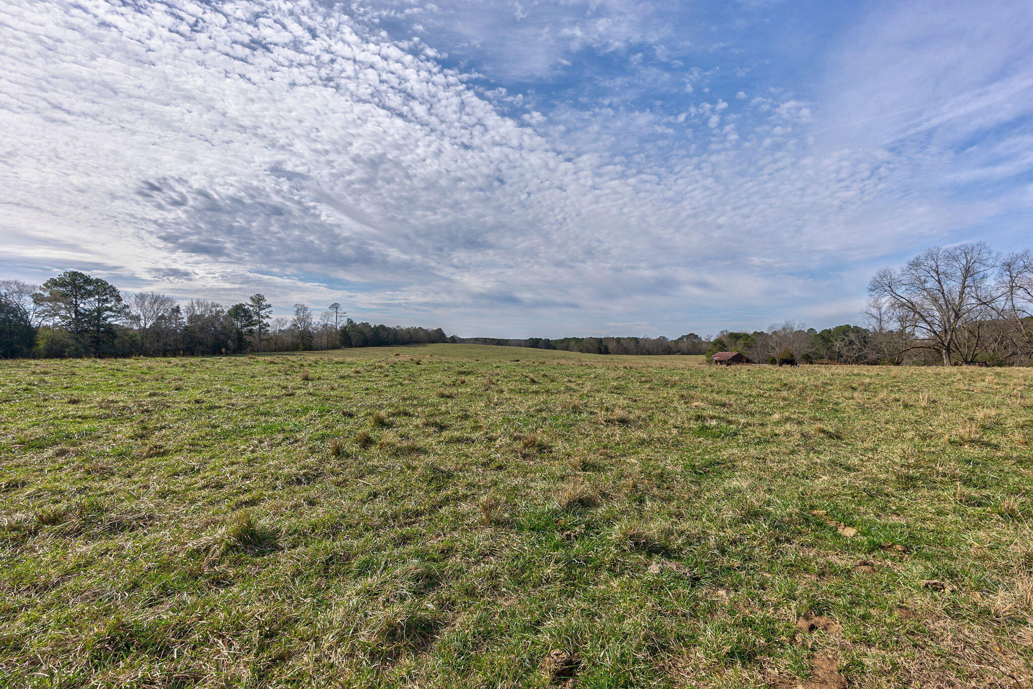 1947 Court Ground Road Rayle, GA 30660 - Photo 20 of 69 20-web-or-mls-19