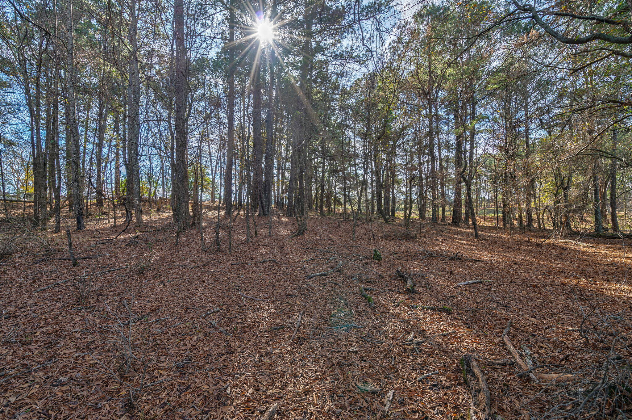 1947 Court Ground Road Rayle, GA 30660 - Photo 2 of 69 2-web-or-mls-1