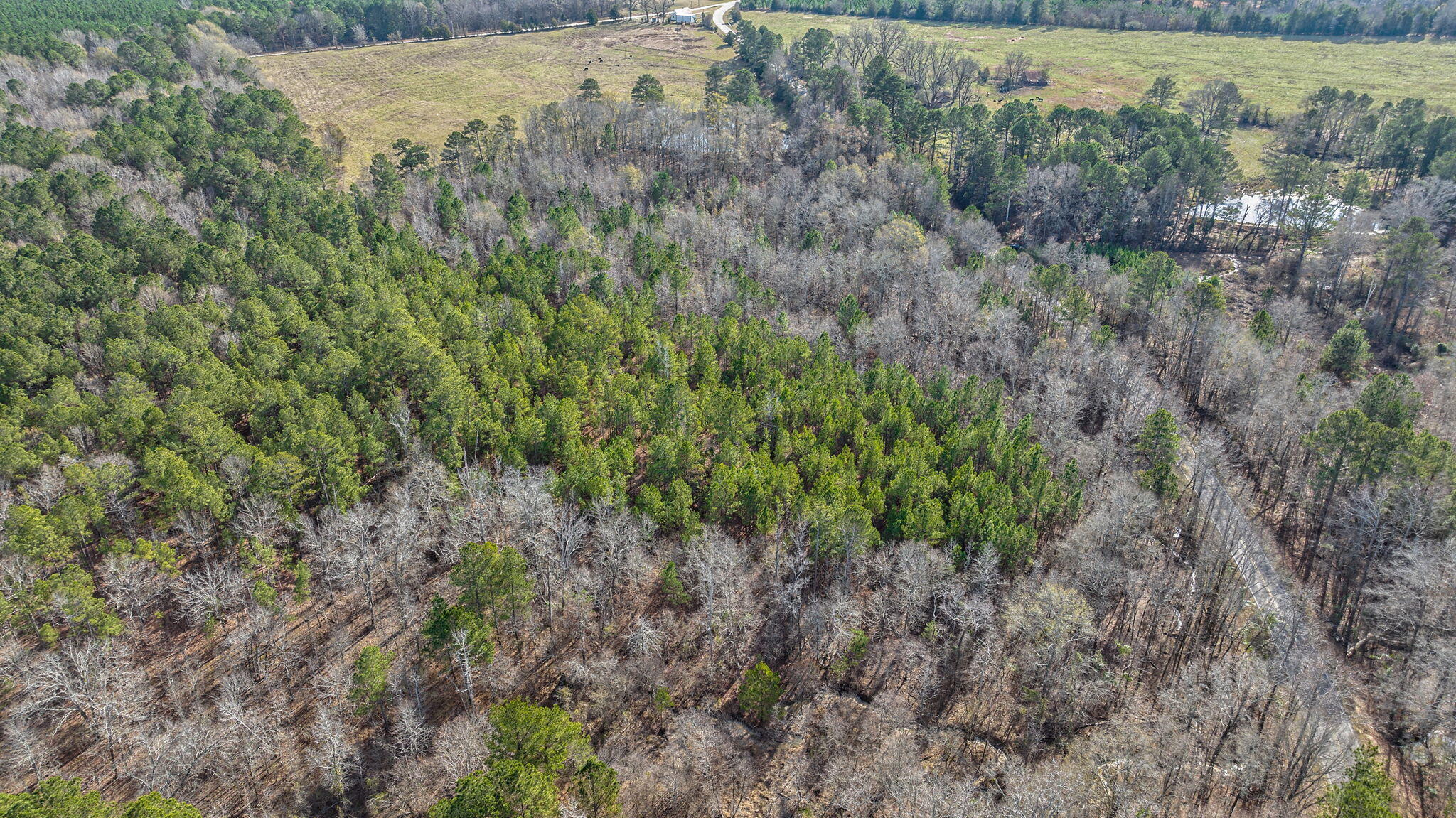 1947 Court Ground Road Rayle, GA 30660 - Photo 44 of 69 44-web-or-mls-44