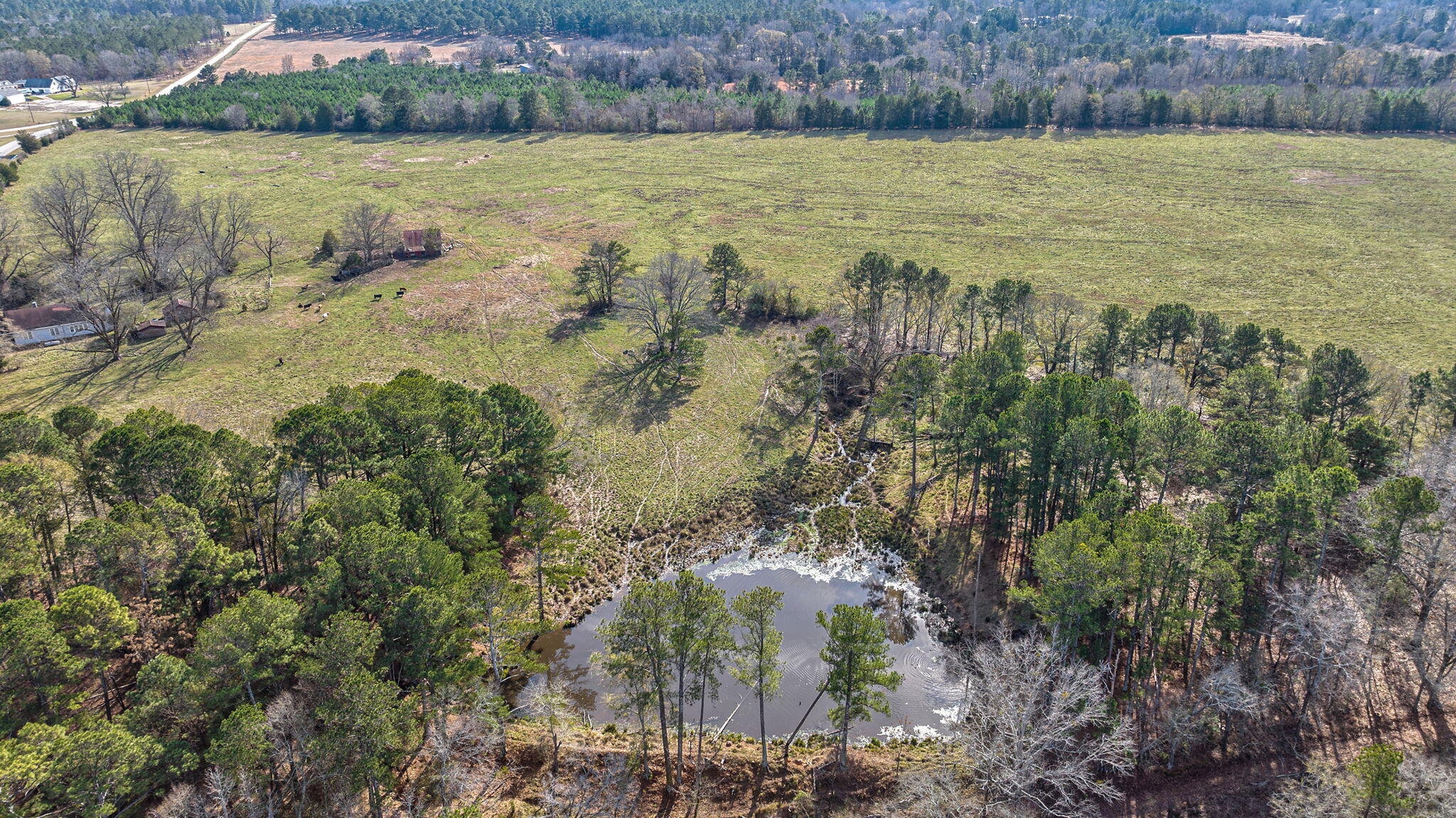 1947 Court Ground Road Rayle, GA 30660 - Photo 45 of 69 45-web-or-mls-45