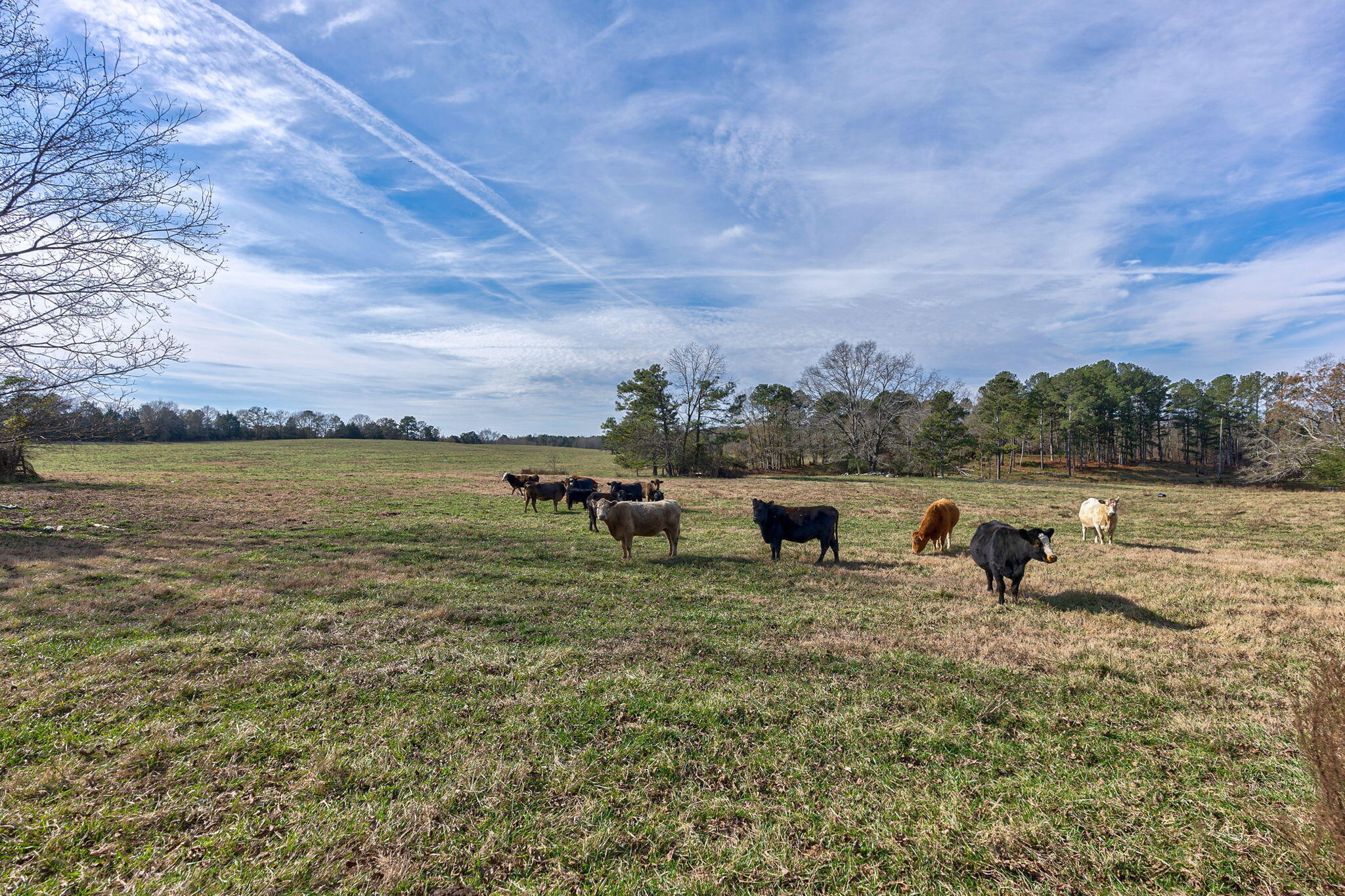 1947 Court Ground Road Rayle, GA 30660 - Photo 5 of 69 5-web-or-mls-4