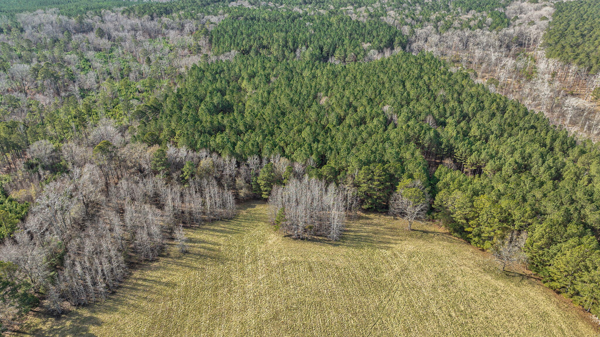 1947 Court Ground Road Rayle, GA 30660 - Photo 53 of 69 53-web-or-mls-53