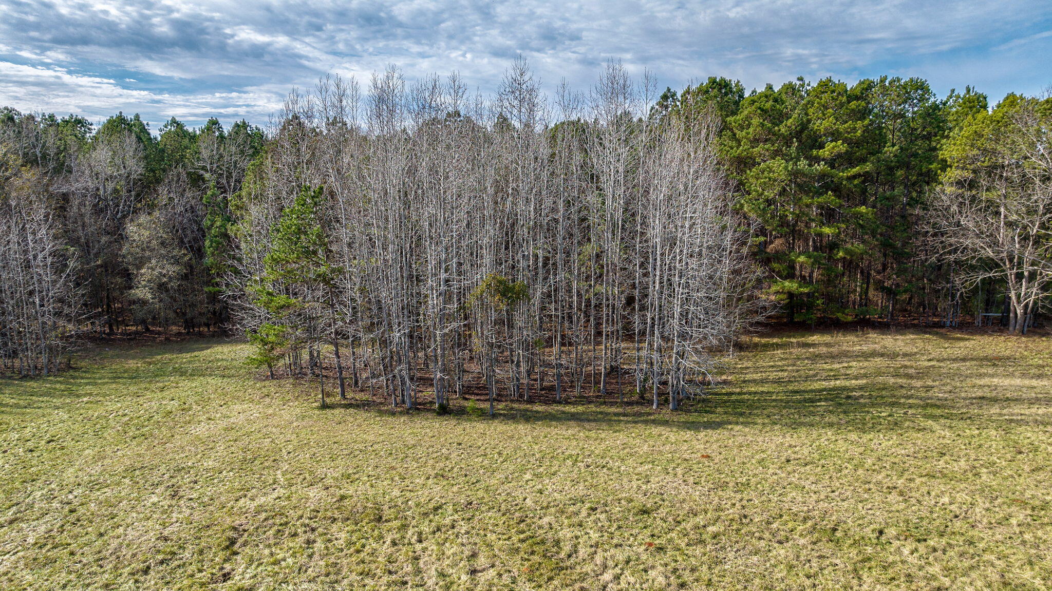 1947 Court Ground Road Rayle, GA 30660 - Photo 57 of 69 57-web-or-mls-57