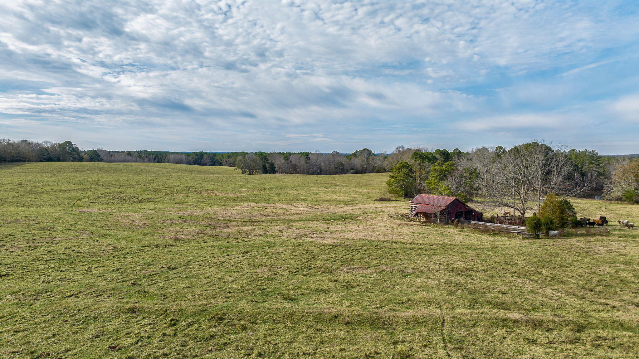 1947 Court Ground Road Rayle, GA 30660 - Photo 66 of 69 66-web-or-mls-66