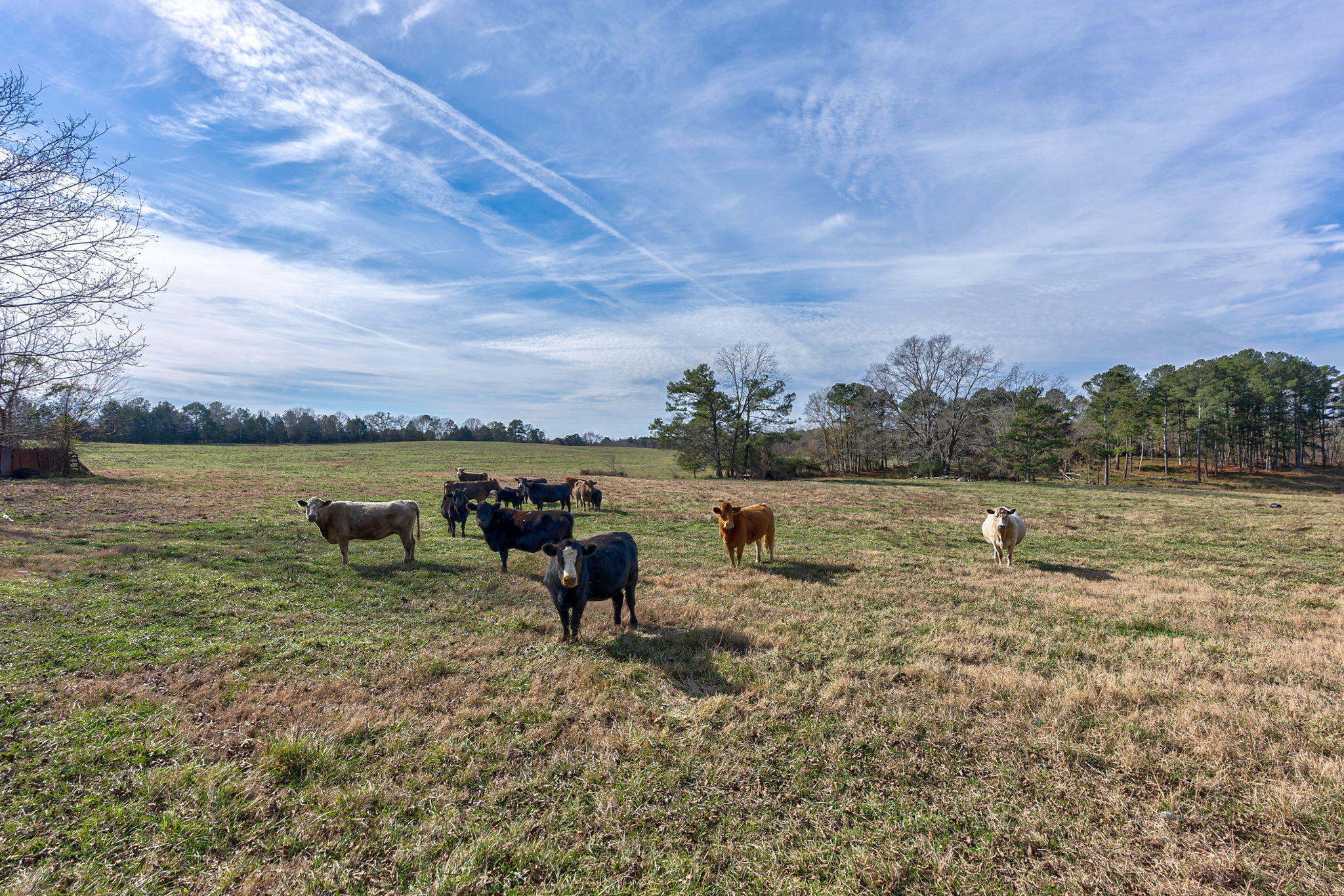 1947 Court Ground Road Rayle, GA 30660 - Photo 7 of 69 7-web-or-mls-6