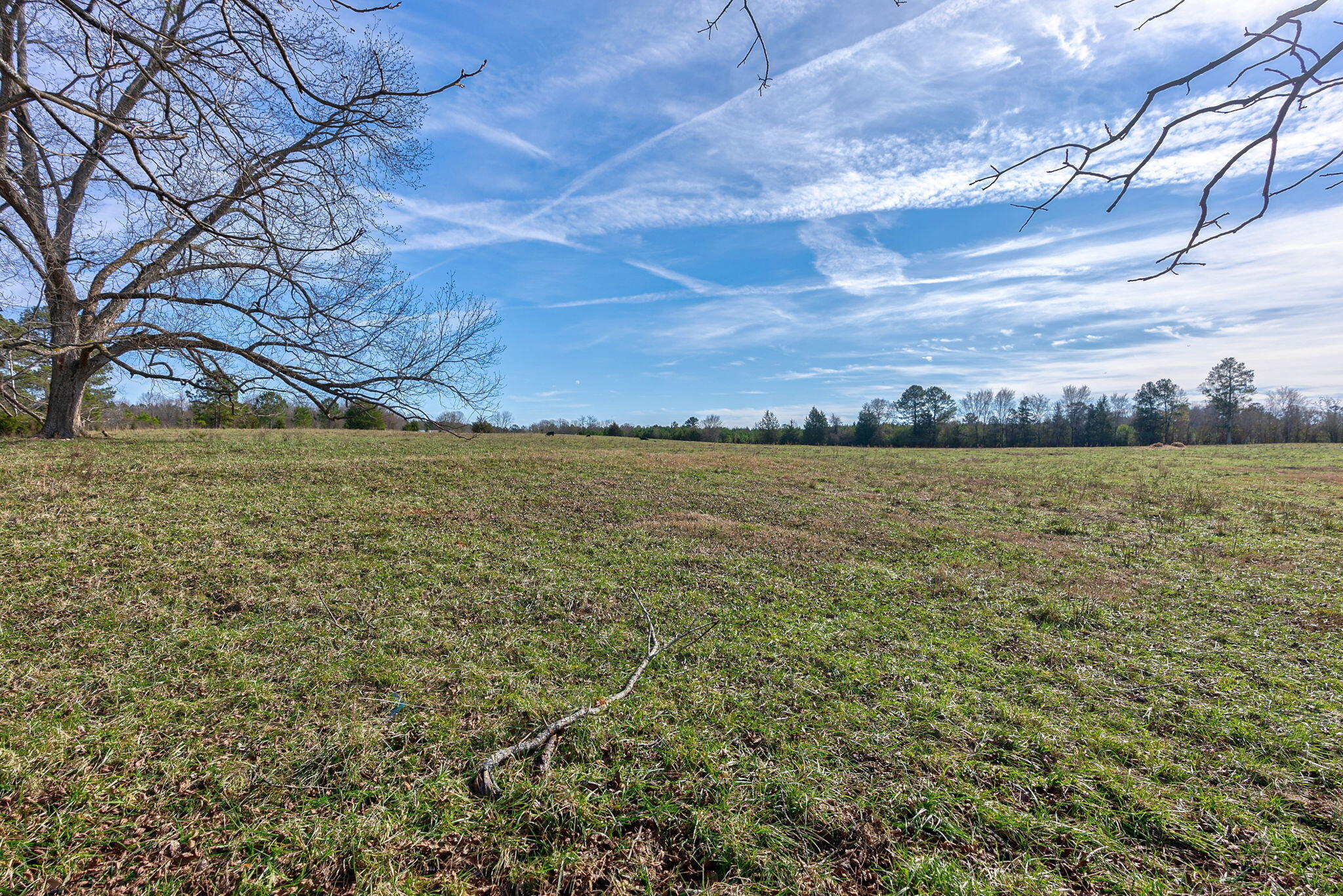 1947 Court Ground Road Rayle, GA 30660 - Photo 10 of 69 10-web-or-mls-9