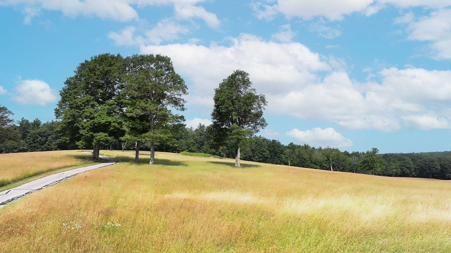 14 Bartlett Road Kensington, NH 03833 - Photo 12 of 60