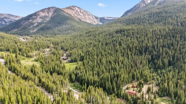 a view of a lush green field