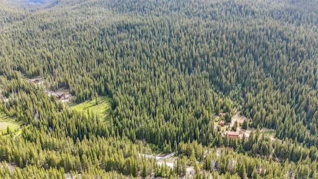 a close up of a plant in a garden