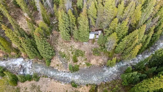 a view of a yard with plants and a bench