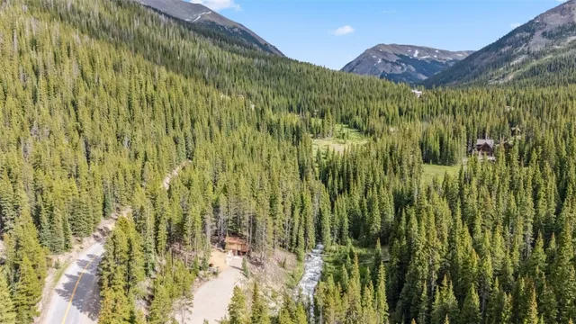 a view of a bunch of plants and trees