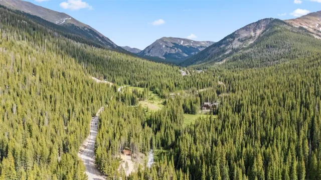 a view of a lush green forest with trees in the background
