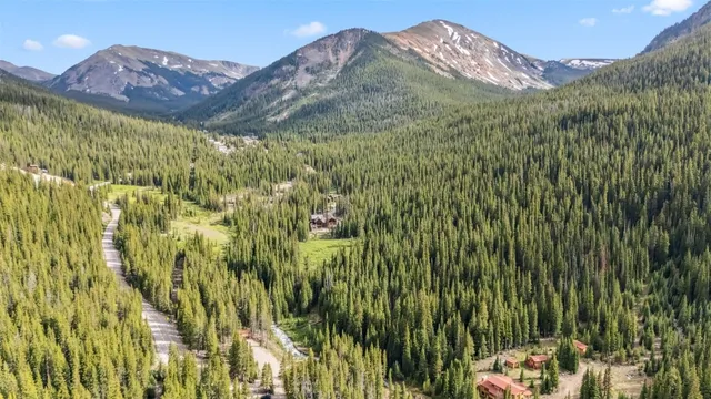 a view of a lot of a green space