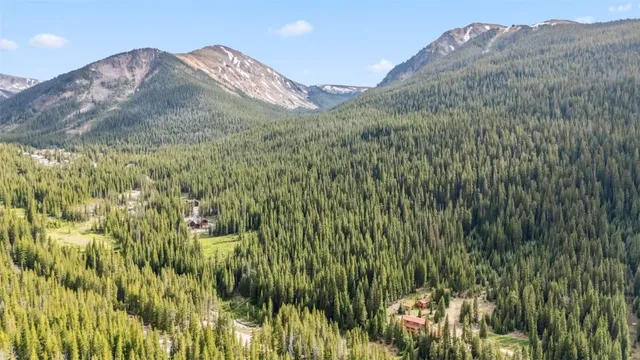 a view of a lush green field