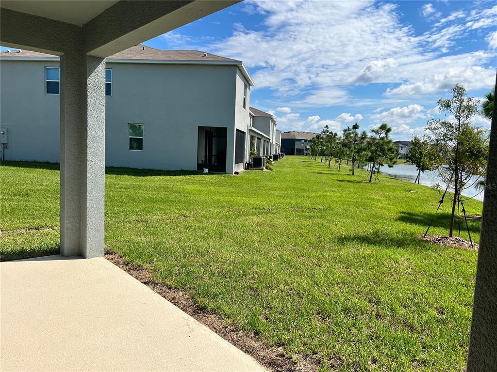137 Mangrove Shade Circle Apollo Beach, FL 33572 - Photo 9 of 31 a backyard of a house with lots of green space