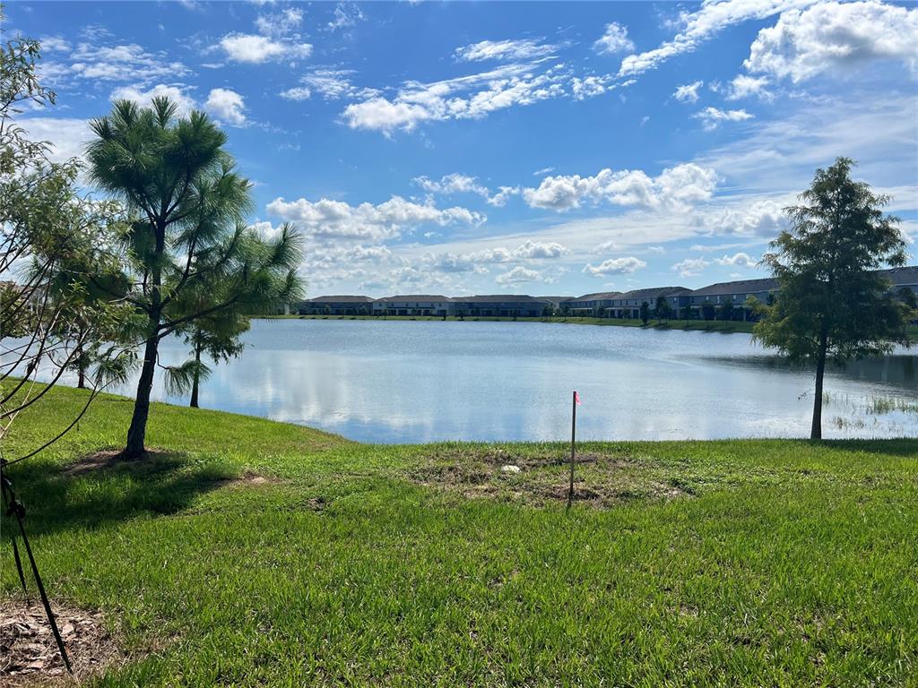 137 Mangrove Shade Circle Apollo Beach, FL 33572 - Photo 10 of 31 a view of a lake with a big yard