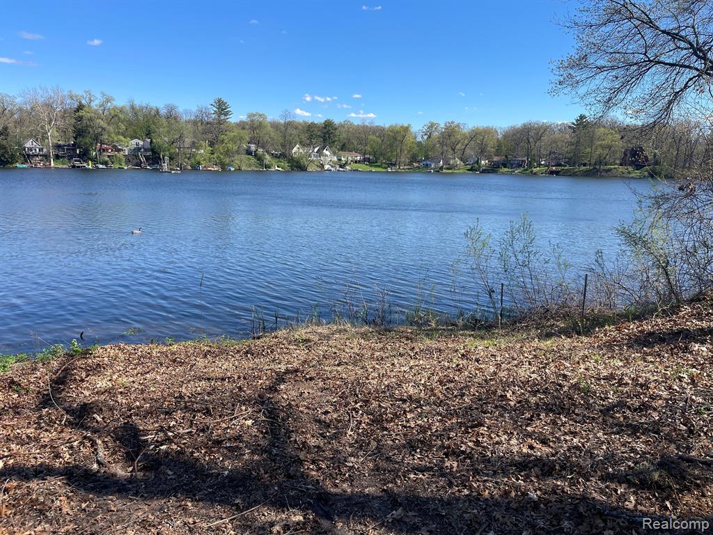 0 Clark Lake Road Brighton, MI 48114 - Photo 10 of 16