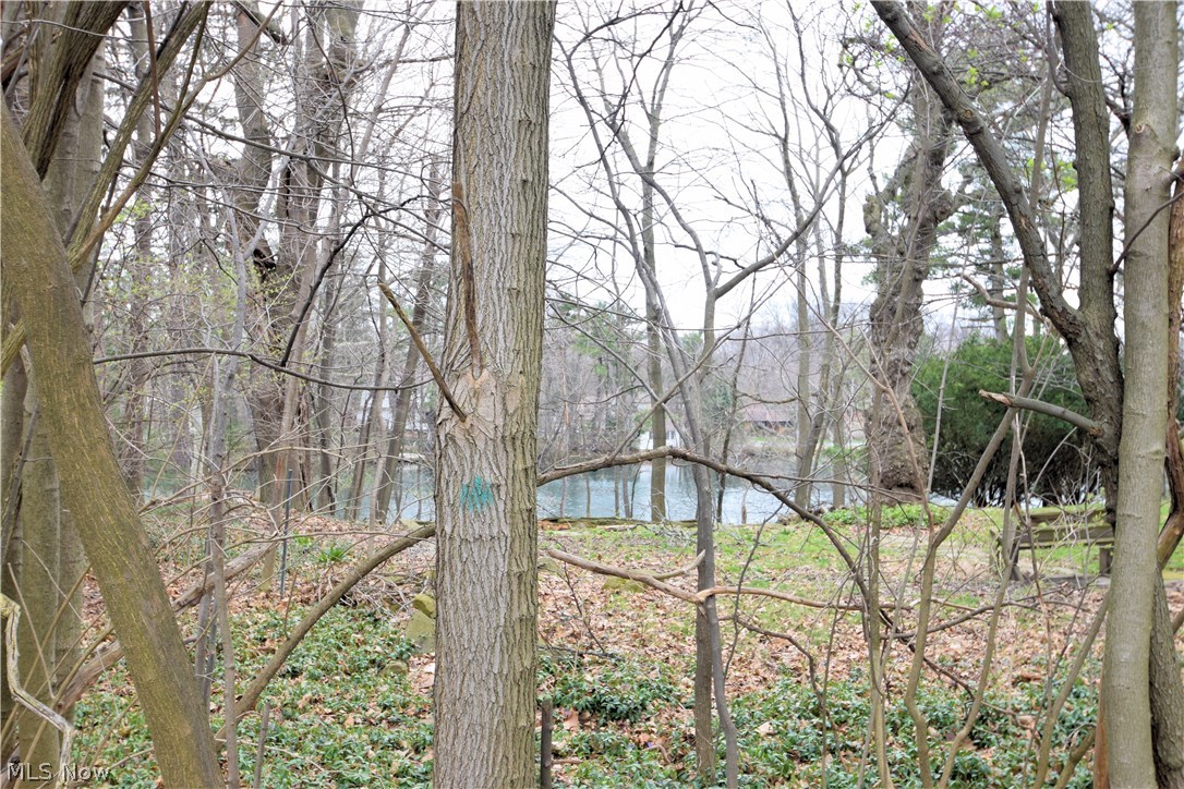 8602 West Moreland Road Parma, OH 44129 - Photo 3 of 32 Gallery Image 3