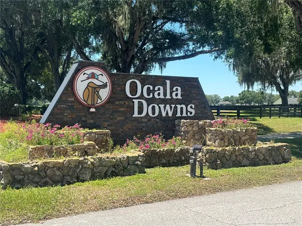 a view of a street sign under a large tree
