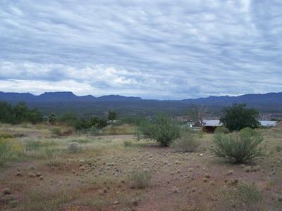 0 Rolfs Avenue Mammoth, AZ 85618 - Photo 1 of 3 Gallery Image 1