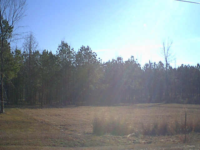 0 Easterly Drive, Unit LOT 20 Brandon, MS 39042 - Photo 1 of 1 Photo 1