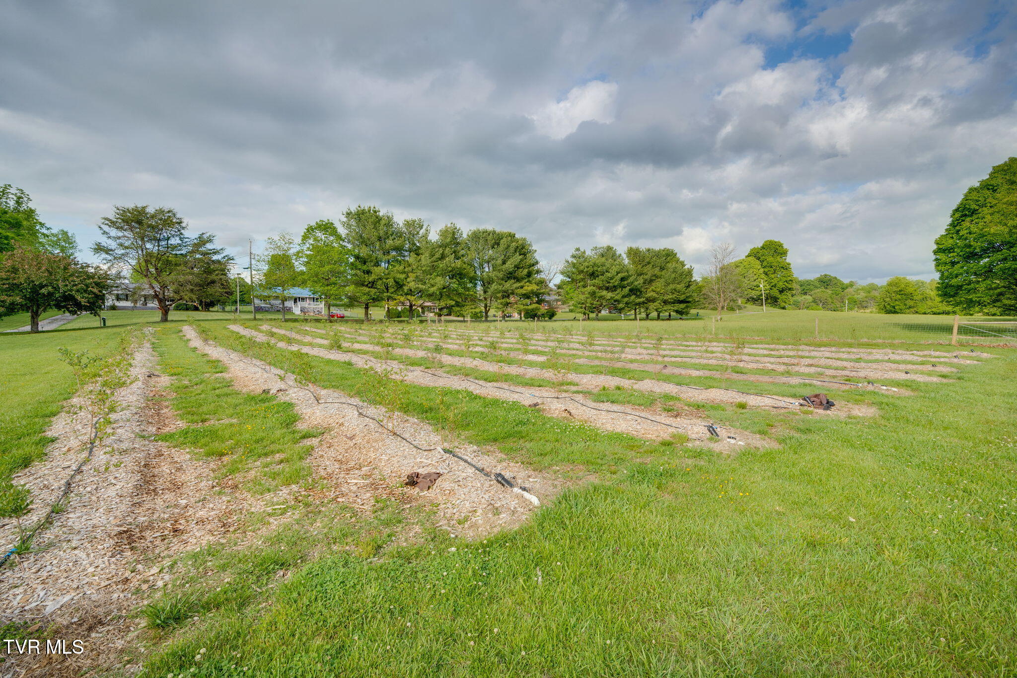 147 Britton Lane Limestone, TN 37681 - Photo 55 of 78 051