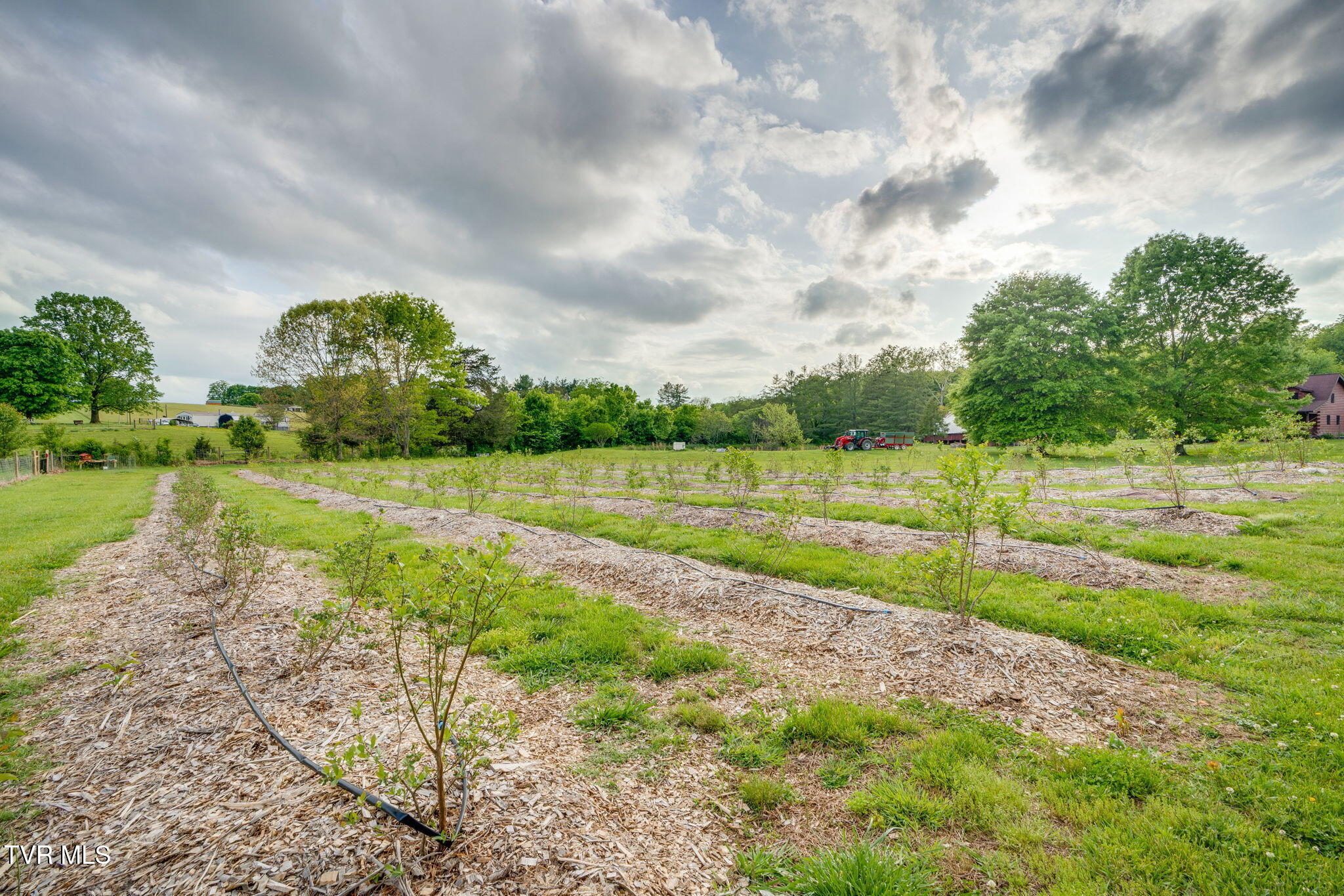147 Britton Lane Limestone, TN 37681 - Photo 56 of 78 052