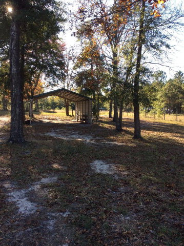 45 Sand Piper Road Barnwell, SC 29812 - Photo 5 of 32