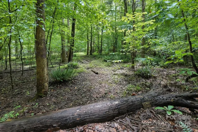 $234,900 | 6 Hager Mountain Lane, Iron Station, NC 28080