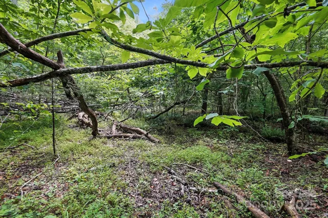 $234,900 | 6 Hager Mountain Lane, Iron Station, NC 28080