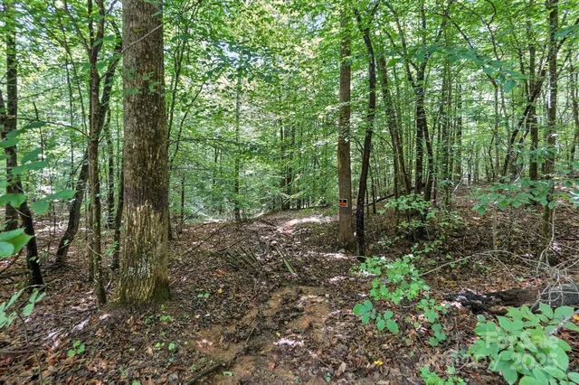 $234,900 | 6 Hager Mountain Lane, Iron Station, NC 28080