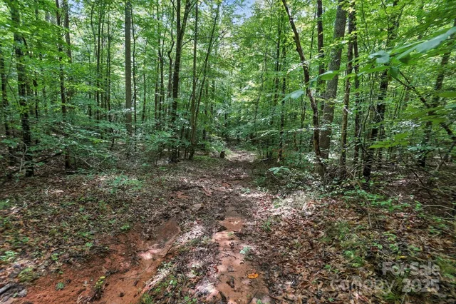 $234,900 | 6 Hager Mountain Lane, Iron Station, NC 28080