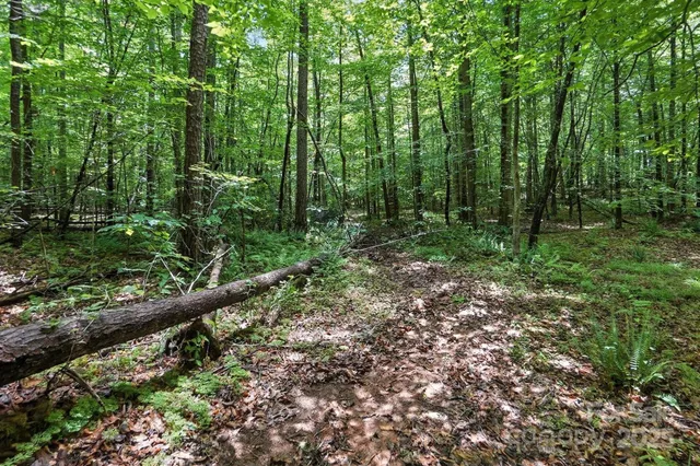 $234,900 | 6 Hager Mountain Lane, Iron Station, NC 28080