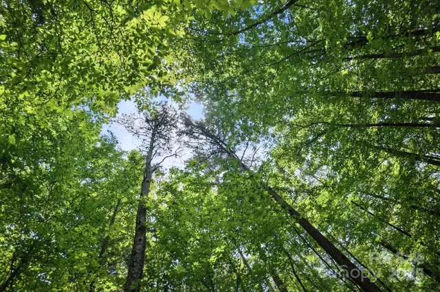 $234,900 | 6 Hager Mountain Lane, Iron Station, NC 28080