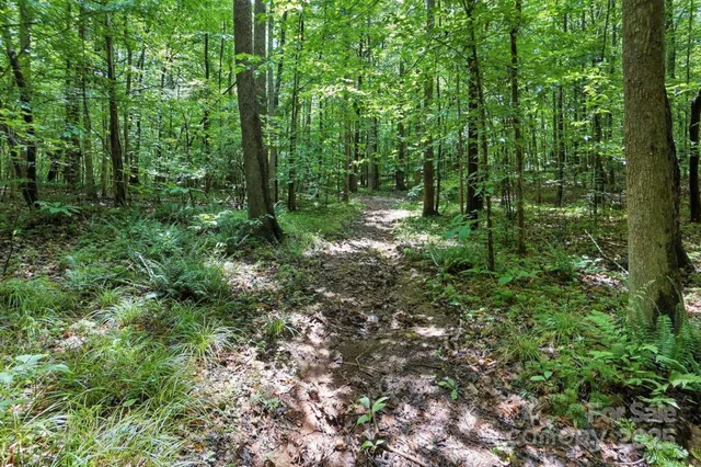 $234,900 | 6 Hager Mountain Lane, Iron Station, NC 28080