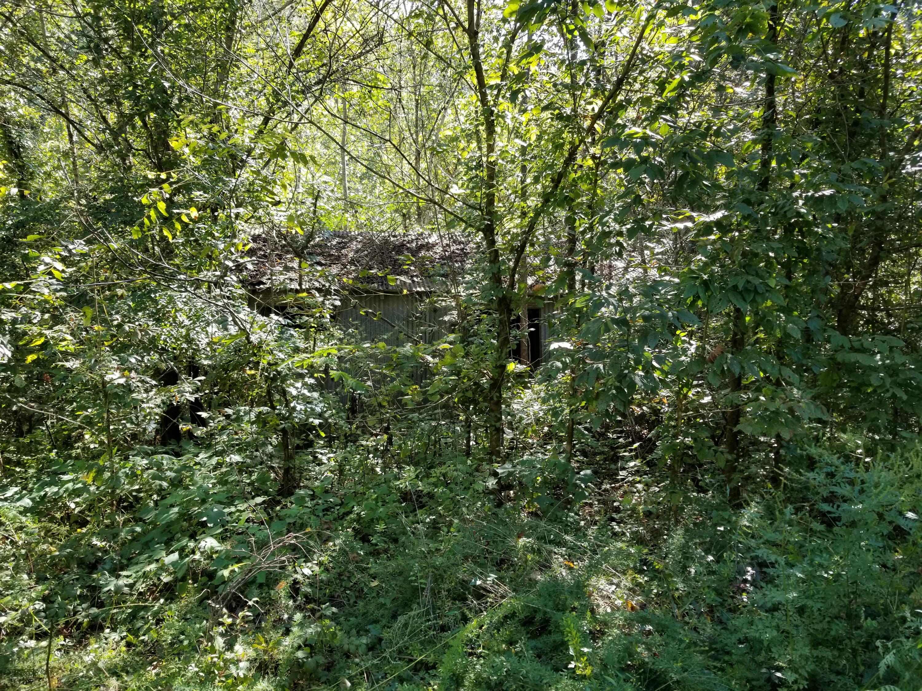 Dunlap Hollow Road Friendsville, TN 37737 - Photo 20 of 21 20200920_153730
