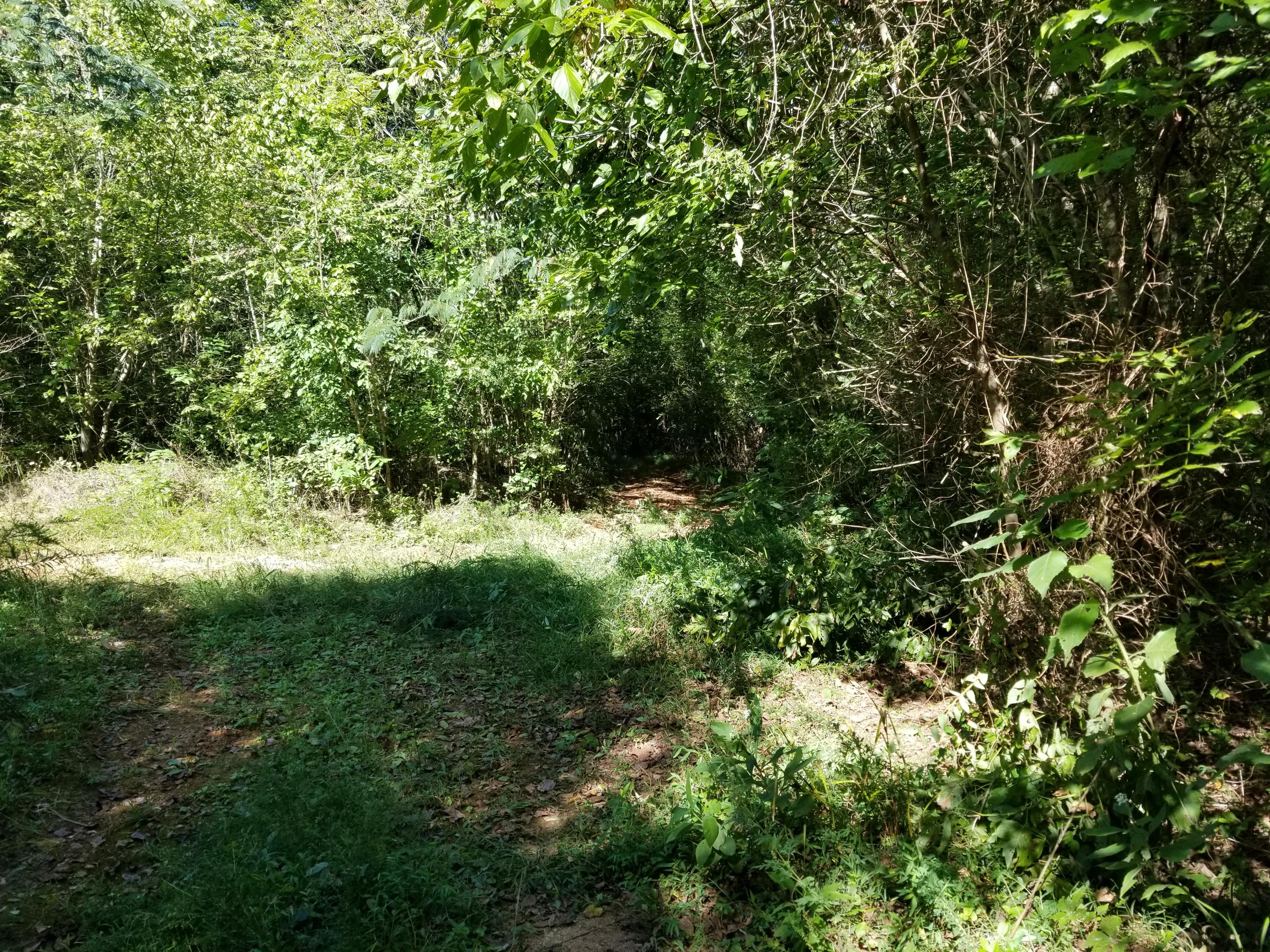 Dunlap Hollow Road Friendsville, TN 37737 - Photo 3 of 21 20200920_155640