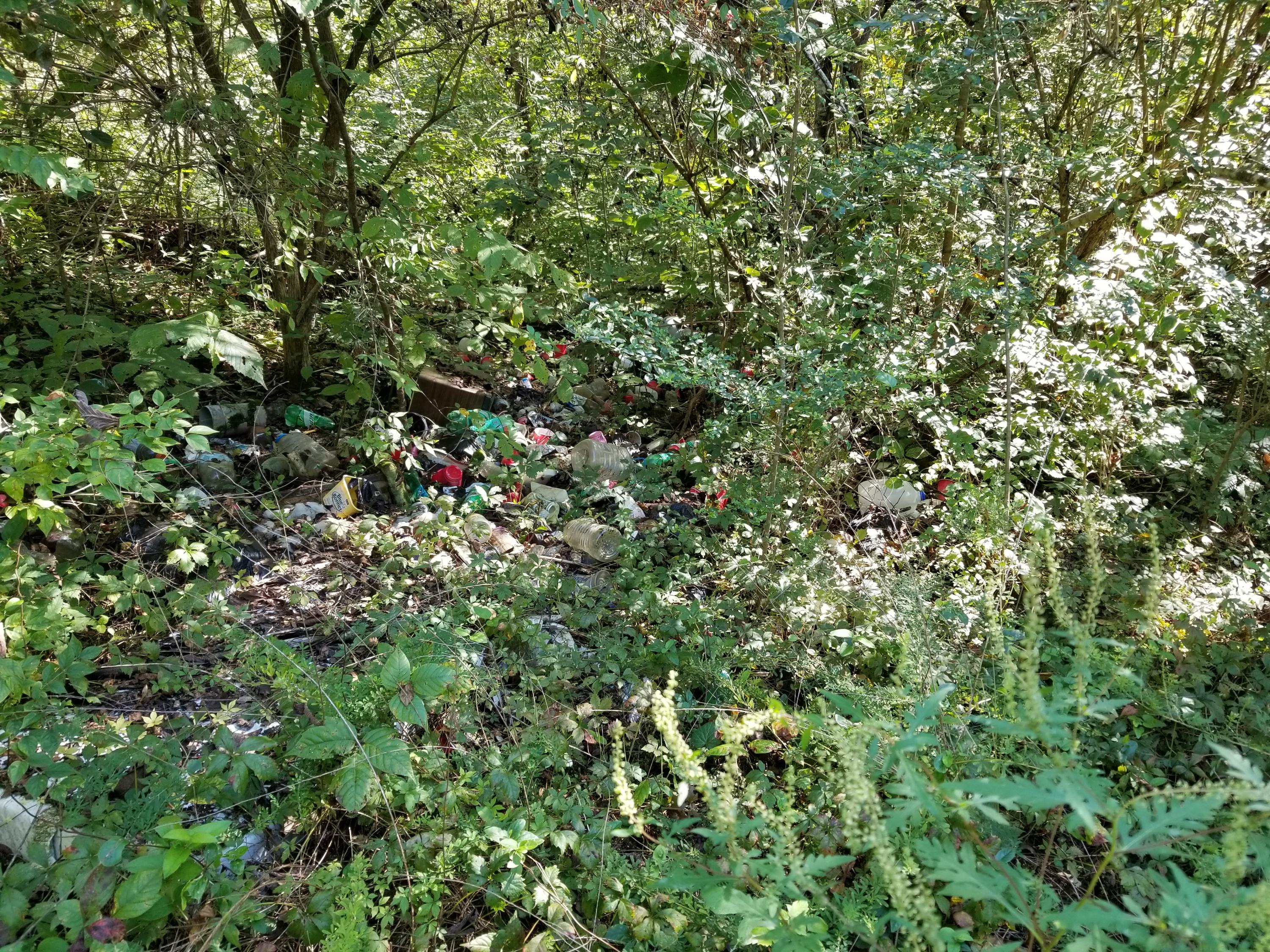 Dunlap Hollow Road Friendsville, TN 37737 - Photo 21 of 21 20200920_153744