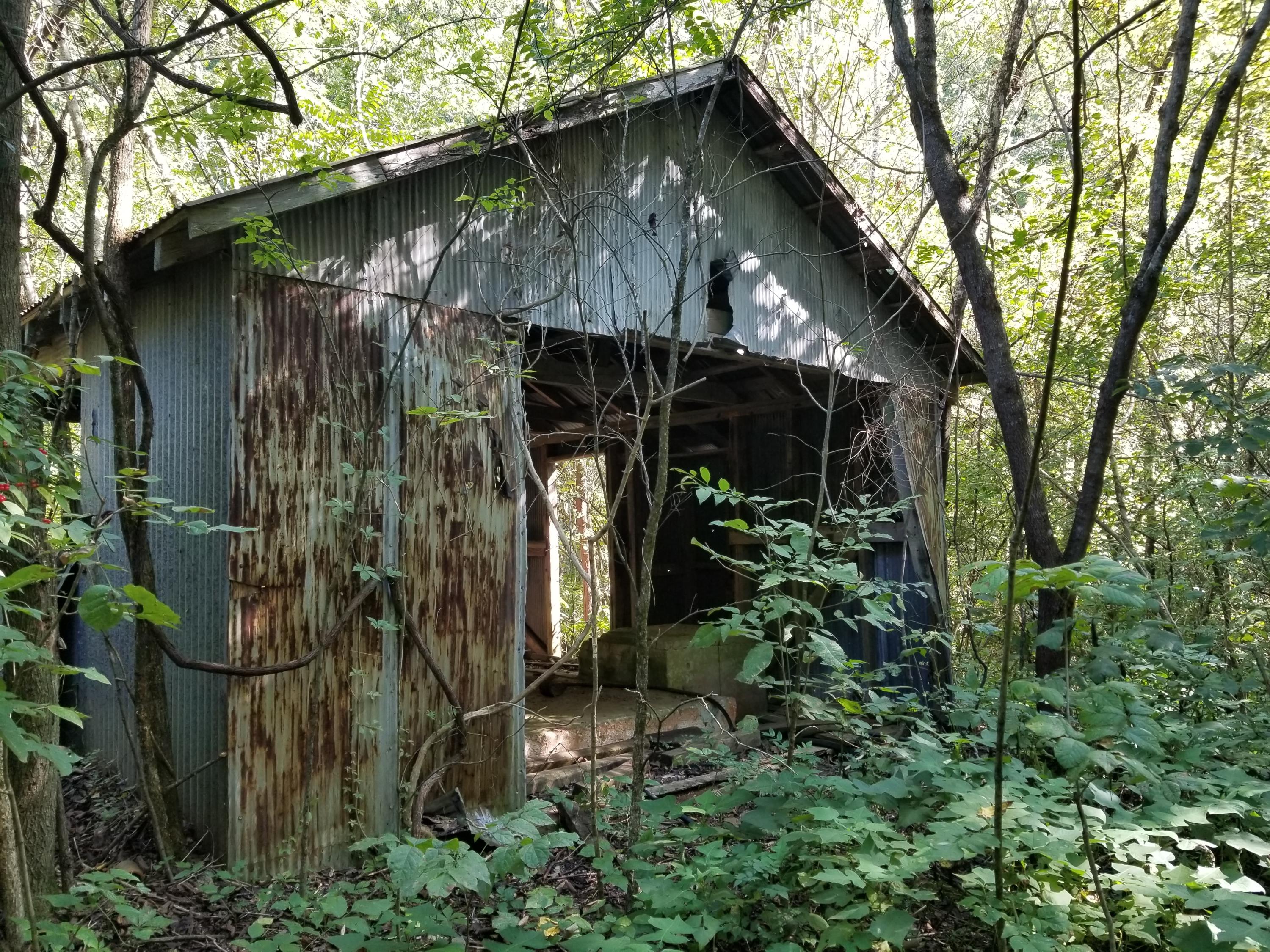 Dunlap Hollow Road Friendsville, TN 37737 - Photo 5 of 21 20200920_155524