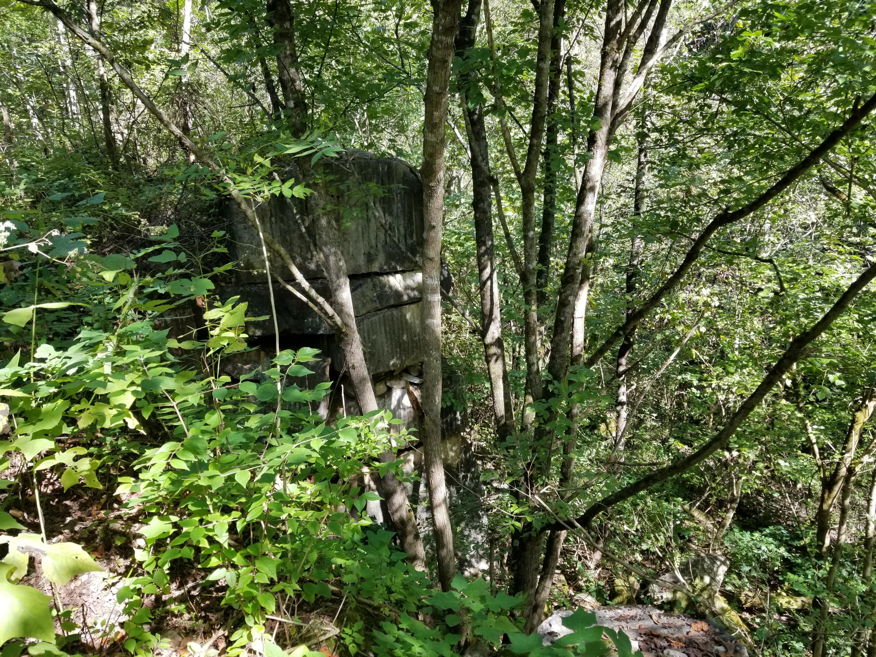 Dunlap Hollow Road Friendsville, TN 37737 - Photo 7 of 21 20200920_153938