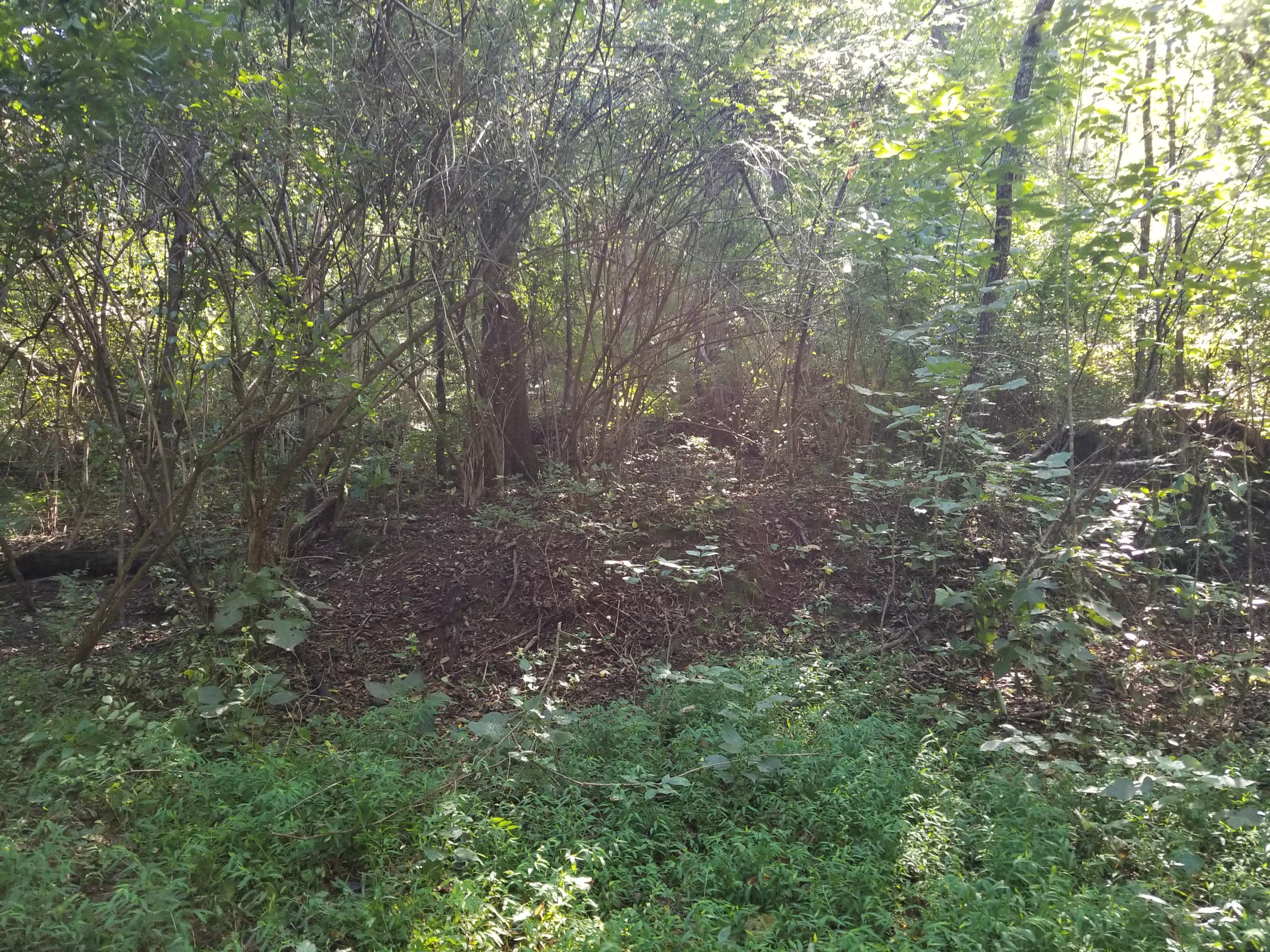 Dunlap Hollow Road Friendsville, TN 37737 - Photo 8 of 21 20200920_154338