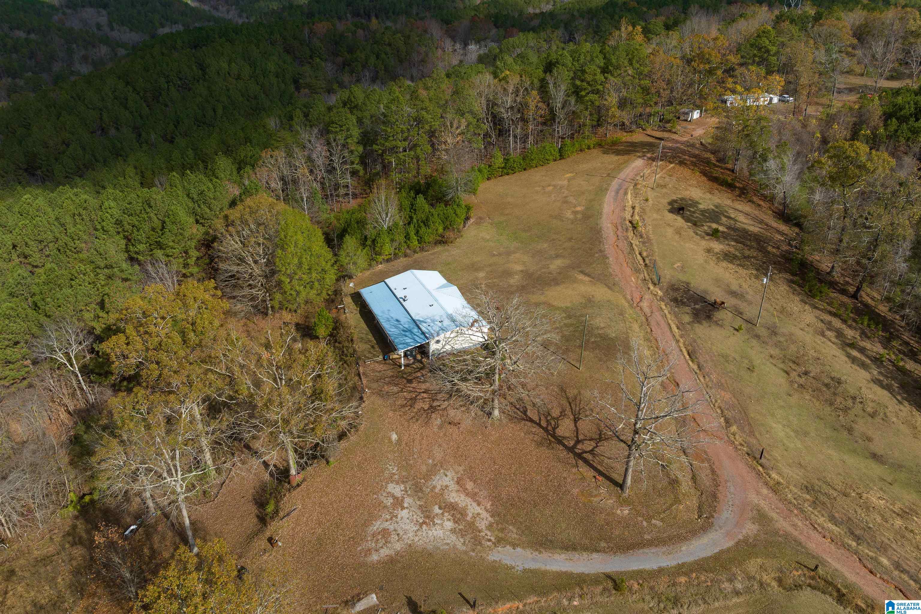 2930 Pridmore Road Quinton, AL 35130 - Photo 31 of 46